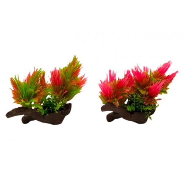 ΔΙΑΚΟΣΜΗΤΙΚΟ ΦΥΤΟ ΕΝΥΔΡΕΙΟΥ 13Χ14CM